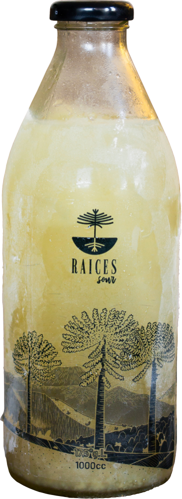 Botella Raíces Sour