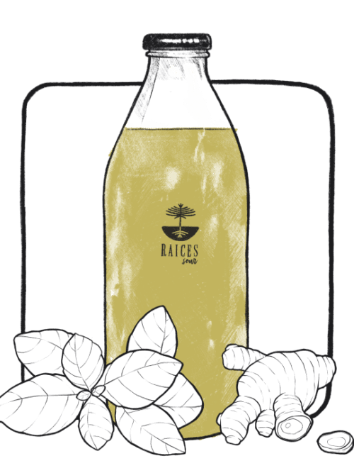 Pisco Albahaca Jengibre